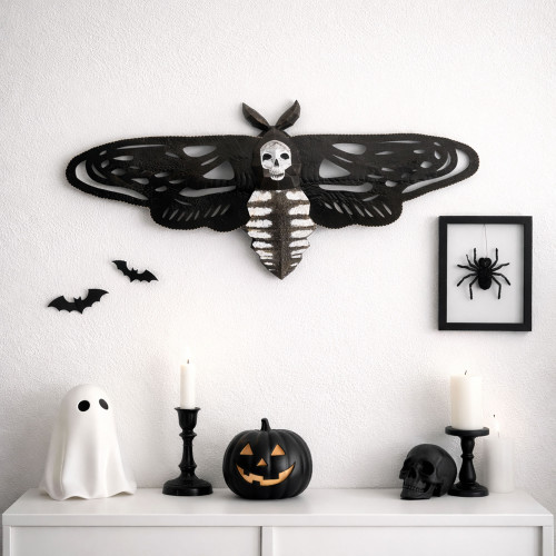 Moth Moth